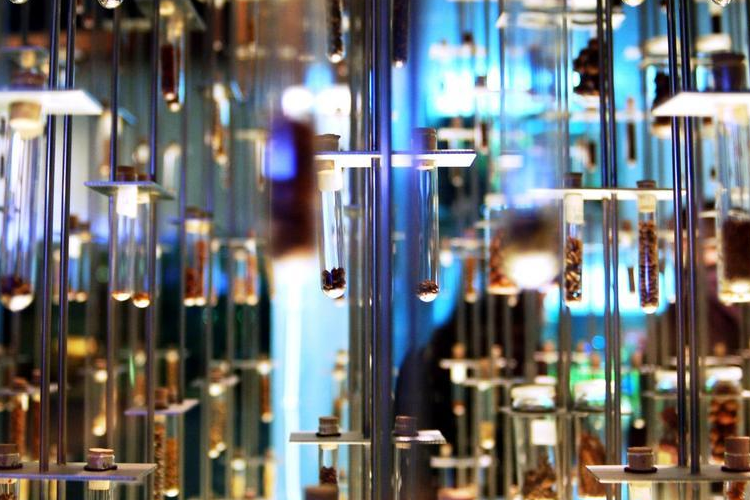 Alles wat u moet weten over actieve farmaceutische ingrediënten (API in de farmacie)