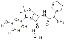 Ampicilline