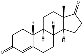 Norandrosteendion